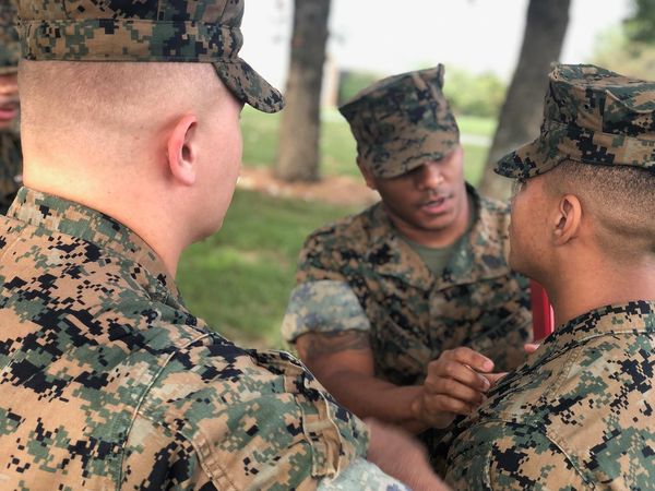 2019, Recognizable Decline